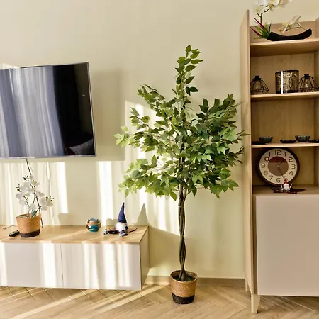 Hevenia 8 * Mrzezyno